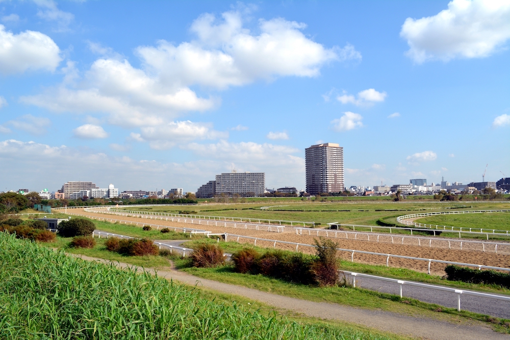 意外と楽しむことができる競馬場
