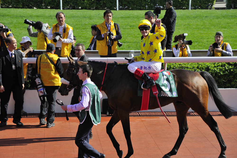 【暴露王まとめ】競馬予想に血統を取り入れる